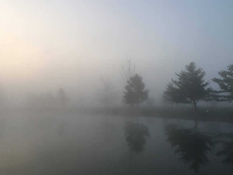 foggy weather with trees and their reflection on the lake