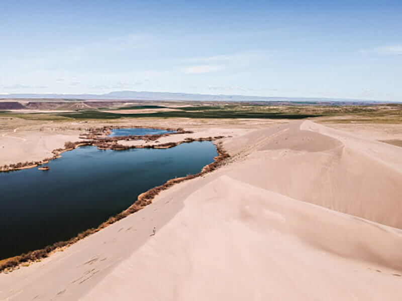 oasis in the dessert 