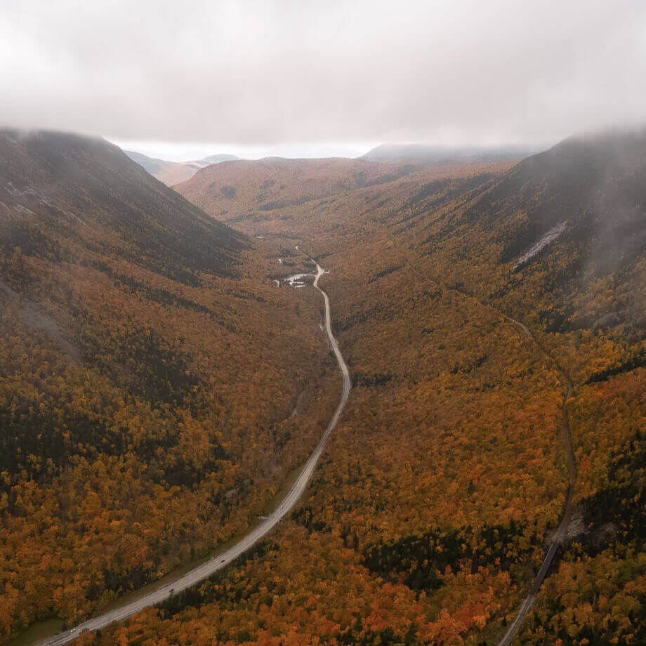 yellowish trees and a small road in the middle